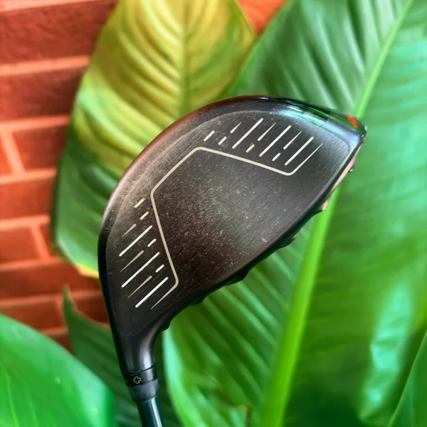 DRIVER PING G410 Plus 10.5 Custom Shaft Arch (Made in Japan) จับคู่ความเสถียรระดับตำนาน image 3 DRIVER PING G410 Plus 10.5 Custom Shaft Arch (Made in Japan) จับคู่ความเสถียรระดับตำนาน image 3