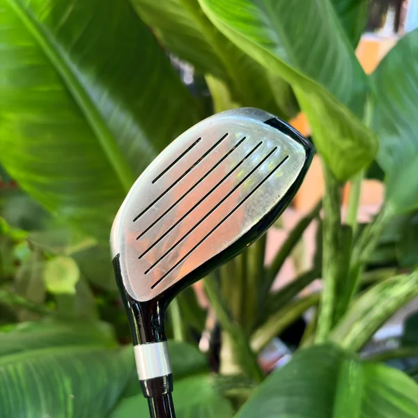 GOLF SET Dunlop DDH Tour Gold Full Set (พร้อมถุงกอล์ฟตรงรุ่น) ตีง่าย สบายมือ ชดเชยความผิดพลาดขั้นสุด image 6 GOLF SET Dunlop DDH Tour Gold Full Set (พร้อมถุงกอล์ฟตรงรุ่น) ตีง่าย สบายมือ ชดเชยความผิดพลาดขั้นสุด image 6