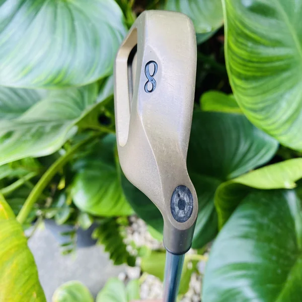  เหล็ก 8 CALLAWAY BIG BERTHA GOLD สำหรับคุณผู้หญิง ตีง่าย เบา สบายมือ✨🏌️♀️ตีง่าย สนุกกับทุกช็อต   image 3