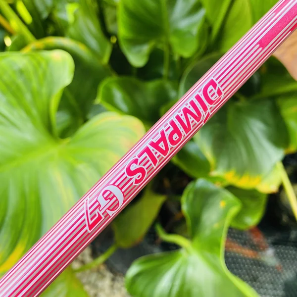 🌷ไม้กอล์ฟผู้หญิง U5 KASCO DIMPALS G7 22 องศา FLEX L โดดเด่นเรื่อง ตีง่าย เบาแรง ได้ระยะ🔥 image 7 🌷ไม้กอล์ฟผู้หญิง U5 KASCO DIMPALS G7 22 องศา FLEX L โดดเด่นเรื่อง ตีง่าย เบาแรง ได้ระยะ🔥 image 7