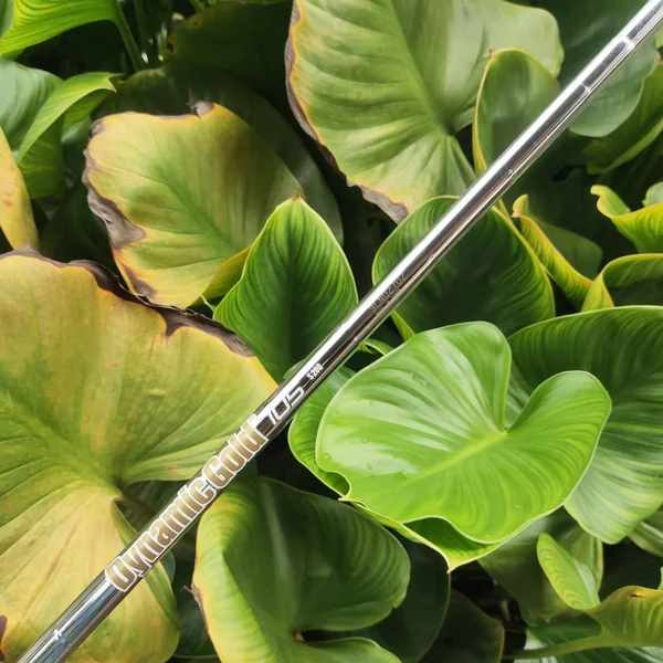 ก้านเหล็ก DYNAMIC GOLD 105 S200 เหมาะกับใส่เวดจ์, เหล็ก 9 ตัวจริงเรื่องความแน่นและบาลานซ์! image 1 ก้านเหล็ก DYNAMIC GOLD 105 S200 เหมาะกับใส่เวดจ์, เหล็ก 9 ตัวจริงเรื่องความแน่นและบาลานซ์! image 1