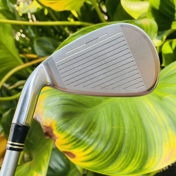 เหล็ก 6 TaylorMade RAC CGB ก้าน TaylorMade M.A.S.2 Plus Flex R "ง่าย" และ "ไกล" ในเหล็กชิ้นเดียว image 5 เหล็ก 6 TaylorMade RAC CGB ก้าน TaylorMade M.A.S.2 Plus Flex R "ง่าย" และ "ไกล" ในเหล็กชิ้นเดียว image 5