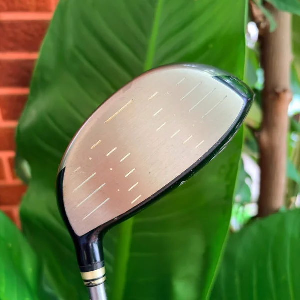 DRIVER XXIO 7 LADIES อาวุธระดับพรีเมียมคู่กายสุภาพสตรี image 3 DRIVER XXIO 7 LADIES อาวุธระดับพรีเมียมคู่กายสุภาพสตรี image 3