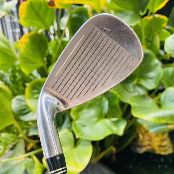 ชุดเหล็กผู้หญิง🌷KING COBRA SZ ก้าน ALDILA DVS FLEX L มีเหล็ก 5 6 7 8 9 P G S ⛳️💖 image 15 ชุดเหล็กผู้หญิง🌷KING COBRA SZ ก้าน ALDILA DVS FLEX L มีเหล็ก 5 6 7 8 9 P G S ⛳️💖 image 15