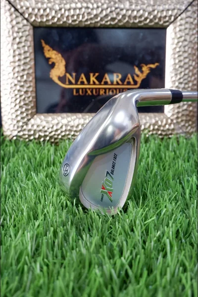เหล็ก 9 T-ZOOM X07 FORGED BALANC FACE (หัวทอง) image 1 เหล็ก 9 T-ZOOM X07 FORGED BALANC FACE (หัวทอง) image 1