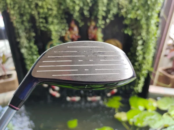 ไม้กอล์ฟสำหรับผู้หญิง ELLE GOLF image 2 ไม้กอล์ฟสำหรับผู้หญิง ELLE GOLF image 2
