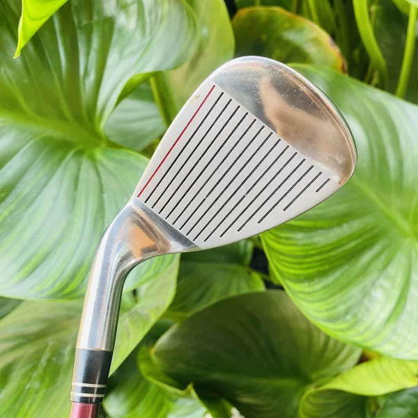 ชุดไม้กอล์ฟผู้หญิง GOSEN JAPAN–CALLISTO TRIWAVE⛳งานญี่ปุ่นแท้ ดีไซน์สวยดูแพง✨น้ำหนักเบาตีง่ายครบชุด🎀 image 11 ชุดไม้กอล์ฟผู้หญิง GOSEN JAPAN–CALLISTO TRIWAVE⛳งานญี่ปุ่นแท้ ดีไซน์สวยดูแพง✨น้ำหนักเบาตีง่ายครบชุด🎀 image 11