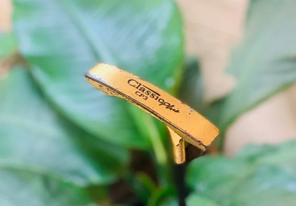  PUTTER GOSEN CLASS CP30   image 1