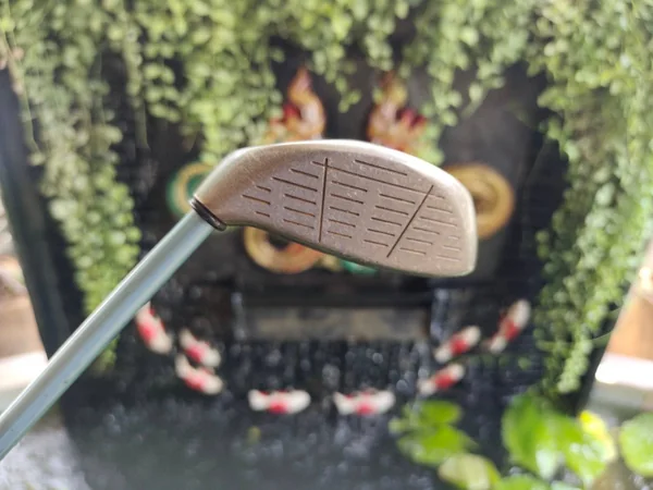 ไม้กอล์ฟสำหรับผู้หญิง FW5 Callaway GEMS รุ่นพิเศษ RUGER TITANIUM image 2 ไม้กอล์ฟสำหรับผู้หญิง FW5 Callaway GEMS รุ่นพิเศษ RUGER TITANIUM image 2