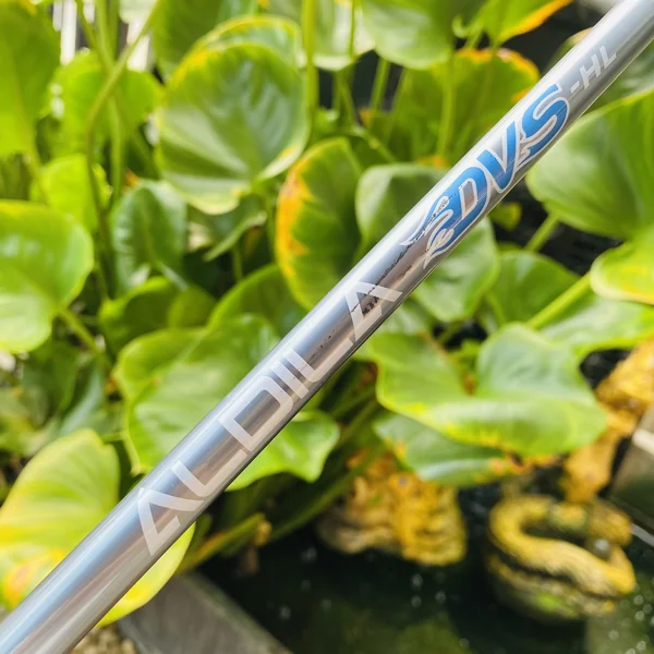 ชุดเหล็กผู้หญิง🌷KING COBRA SZ ก้าน ALDILA DVS FLEX L มีเหล็ก 5 6 7 8 9 P G S ⛳️💖 image 16 ชุดเหล็กผู้หญิง🌷KING COBRA SZ ก้าน ALDILA DVS FLEX L มีเหล็ก 5 6 7 8 9 P G S ⛳️💖 image 16
