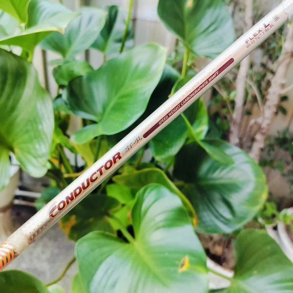 *** ไม้กอล์ฟสำหรับผู้หญิง *** FW9 MARUMAN CONDUCTOR องศา 30 ก้าน CONDUCTOR ST-4L FLEX LADY MARUMAN เป็นไม้ญี่ปุ่นที่ดีมากๆ ไม้กอล์ฟพรีเมี่ยมมือสอง ของแท้ By NakaraLuxurious image 5 *** ไม้กอล์ฟสำหรับผู้หญิง *** FW9 MARUMAN CONDUCTOR องศา 30 ก้าน CONDUCTOR ST-4L FLEX LADY MARUMAN เป็นไม้ญี่ปุ่นที่ดีมากๆ ไม้กอล์ฟพรีเมี่ยมมือสอง ของแท้ By NakaraLuxurious image 5