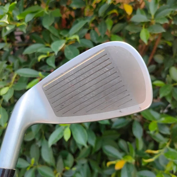 ** ไม้กอล์ฟสำหรับผู้หญิง ** เหล็ก 7 HONMA TWIN MARKS AP-301 MRS ก้าน ACCELERATE FORCE FLEX L image 3 ** ไม้กอล์ฟสำหรับผู้หญิง ** เหล็ก 7 HONMA TWIN MARKS AP-301 MRS ก้าน ACCELERATE FORCE FLEX L image 3