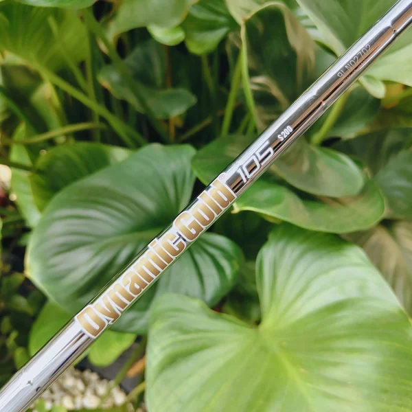 DYNAMIC GOLD 105 S200 (มือสอง) ฟีลแน่น คุมช็อตอยู่มือ ⛳🔥 ติดกริพมาแล้ว ยาว 36.25” ใส่ได้ทันที 😎🎯 image 1 DYNAMIC GOLD 105 S200 (มือสอง) ฟีลแน่น คุมช็อตอยู่มือ ⛳🔥 ติดกริพมาแล้ว ยาว 36.25” ใส่ได้ทันที 😎🎯 image 1