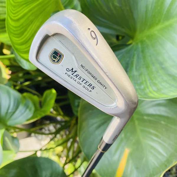 ชุดเหล็กผู้หญิงMASTER FIESTA OF GOLF FORGED CAVITY 56789PFS💕ก้านFLEX LADYน้ำหนักเบาตีง่ายคุมทิศสบาย image 11 ชุดเหล็กผู้หญิงMASTER FIESTA OF GOLF FORGED CAVITY 56789PFS💕ก้านFLEX LADYน้ำหนักเบาตีง่ายคุมทิศสบาย image 11