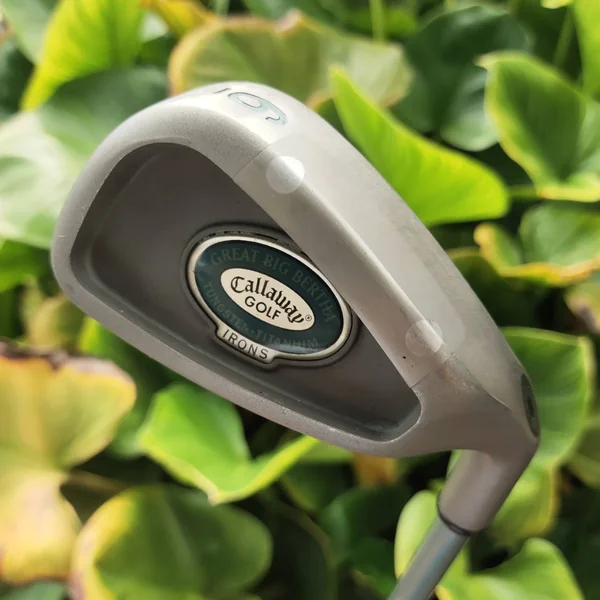 ไม้กอล์ฟผู้หญิง เหล็ก 6 Callaway GREAT BIG BERTHA ก้าน LADIES GEMS "สุภาพสตรีต้องการระยะและความง่าย" image 2 ไม้กอล์ฟผู้หญิง เหล็ก 6 Callaway GREAT BIG BERTHA ก้าน LADIES GEMS "สุภาพสตรีต้องการระยะและความง่าย" image 2