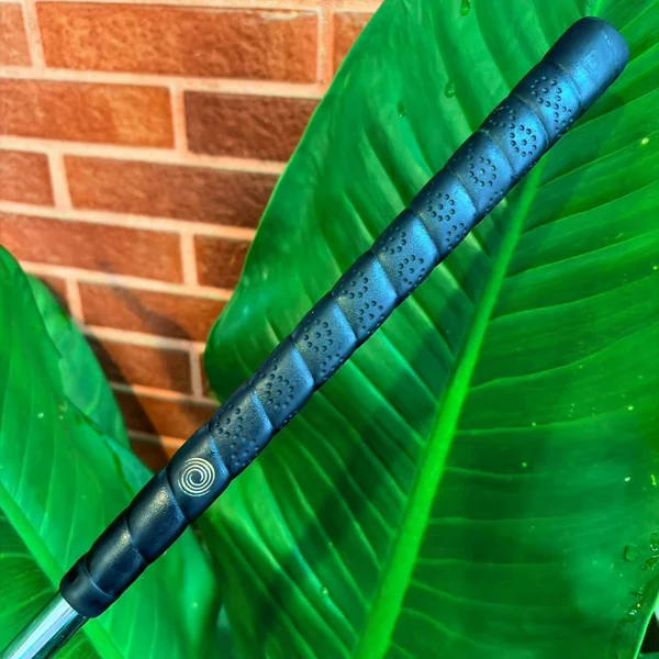 Putter Odyssey Dual Force Rossie II ควบคุมทุกไลน์บนกรีนด้วยพัตเตอร์ทรงมอลเล็ทยอดนิยมระดับขึ้นหิ้ง image 6 Putter Odyssey Dual Force Rossie II ควบคุมทุกไลน์บนกรีนด้วยพัตเตอร์ทรงมอลเล็ทยอดนิยมระดับขึ้นหิ้ง image 6