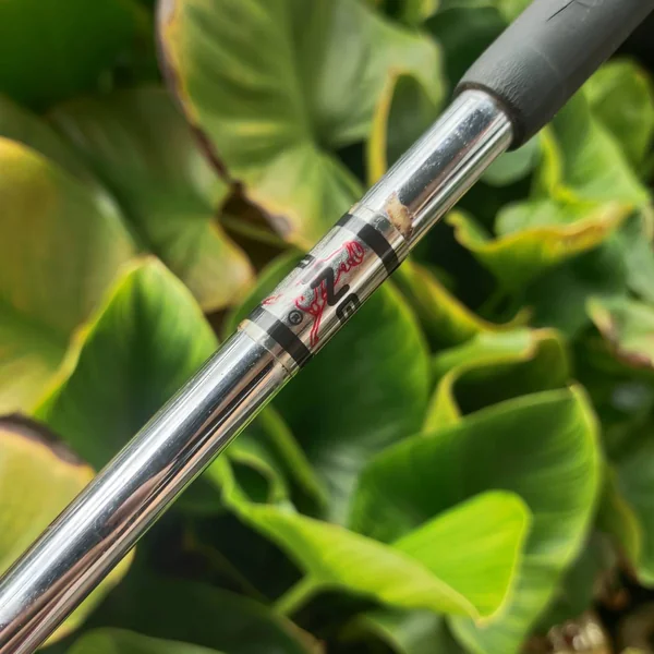 PUTTER PING PAL2 | ความยาว 34 นิ้ว พัตเตอร์ทรงคลาสสิก หน้าไม้เสถียร พัตต์ตรง คุมไลน์ง่าย ⛳🎯 image 4 PUTTER PING PAL2 | ความยาว 34 นิ้ว พัตเตอร์ทรงคลาสสิก หน้าไม้เสถียร พัตต์ตรง คุมไลน์ง่าย ⛳🎯 image 4