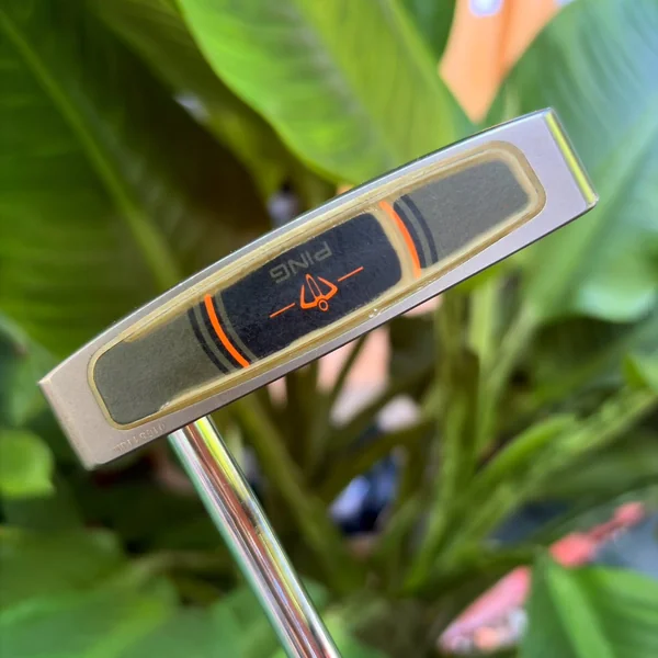  ชุดไม้กอล์ฟ PING G10 ครบเซตพรีเมียม พร้อมถุงกอล์ฟขาตั้ง PING คู่ตัว สภาพสวยพร้อมสู้ทุกสนาม!   image 12