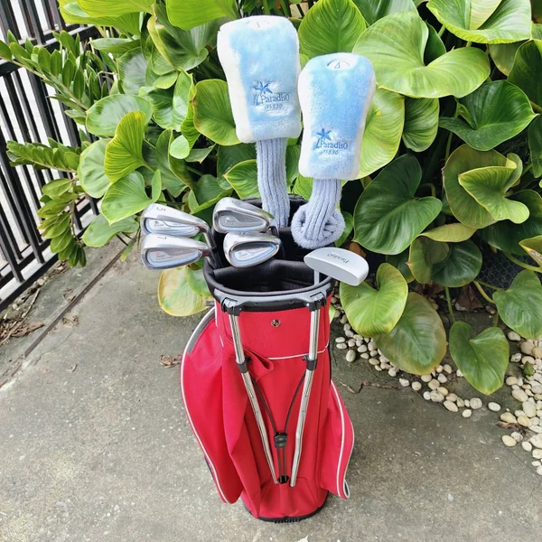  ** ไม้กอล์ฟสำหรับผู้หญิง ** SET BRIDGESTONE PRADISO LADY ชุดพรีเมี่ยมจากญี่ปุ่น 🔴   image 3