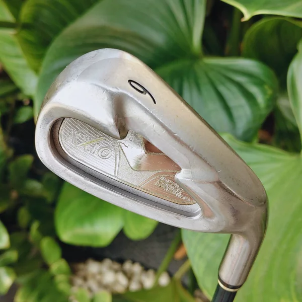 สำหรับผู้หญิง💖 เหล็ก 6 XXIO IMPACT POWER MATCHING (LADY) หน้าเด้ง Titanium พรีเมียม ลูกลอยง่าย ⛳✨ image 1 สำหรับผู้หญิง💖 เหล็ก 6 XXIO IMPACT POWER MATCHING (LADY) หน้าเด้ง Titanium พรีเมียม ลูกลอยง่าย ⛳✨ image 1