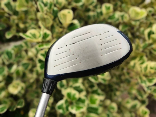 FW Callaway GREAT BIGBERTHAR II image 2 FW Callaway GREAT BIGBERTHAR II image 2