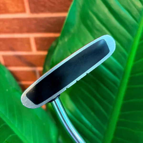 Putter Odyssey Dual Force Rossie II ควบคุมทุกไลน์บนกรีนด้วยพัตเตอร์ทรงมอลเล็ทยอดนิยมระดับขึ้นหิ้ง image 3 Putter Odyssey Dual Force Rossie II ควบคุมทุกไลน์บนกรีนด้วยพัตเตอร์ทรงมอลเล็ทยอดนิยมระดับขึ้นหิ้ง image 3