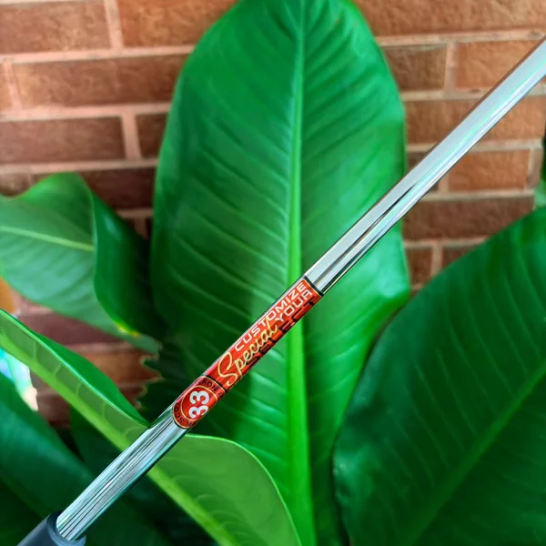 PUTTER TITLEIST SCOTTY CAMERON SPECIAL SELECT NEWPORT 2 ที่สุดแห่งพัตเตอร์ระดับโลก image 5 PUTTER TITLEIST SCOTTY CAMERON SPECIAL SELECT NEWPORT 2 ที่สุดแห่งพัตเตอร์ระดับโลก image 5