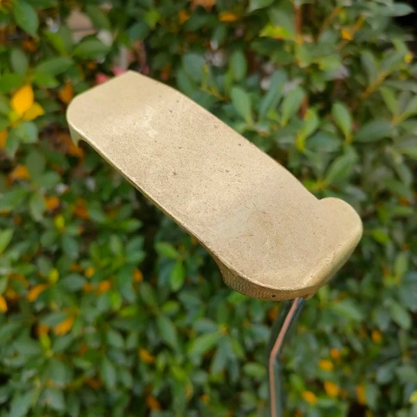 PUTTER BLUE POWER TYPE-II ความยาว 34 นิ้ว วัสดุสุดพรีเมี่ยม น้ำหนักดีมากๆ รูปทรงไม่เหมือนใคร เล็งง่าย มีเส้น ทรงกำลังสวย กริพ LAMKIN ผ้าใบ ขนาดกำลังดี image 3 PUTTER BLUE POWER TYPE-II ความยาว 34 นิ้ว วัสดุสุดพรีเมี่ยม น้ำหนักดีมากๆ รูปทรงไม่เหมือนใคร เล็งง่าย มีเส้น ทรงกำลังสวย กริพ LAMKIN ผ้าใบ ขนาดกำลังดี image 3