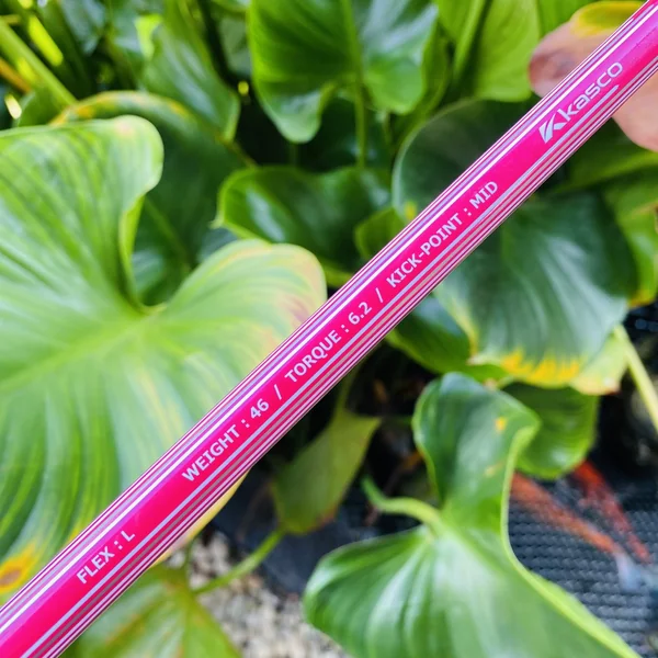 🌷ไม้กอล์ฟผู้หญิง U5 KASCO DIMPALS G7 22 องศา FLEX L โดดเด่นเรื่อง ตีง่าย เบาแรง ได้ระยะ🔥 image 6 🌷ไม้กอล์ฟผู้หญิง U5 KASCO DIMPALS G7 22 องศา FLEX L โดดเด่นเรื่อง ตีง่าย เบาแรง ได้ระยะ🔥 image 6